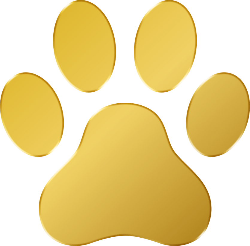 3D Gold Dog Paw Icon